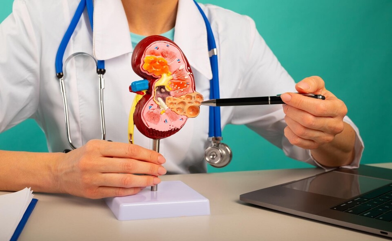 Understanding The 5 Stages Of Chronic Kidney Disease (CKD)